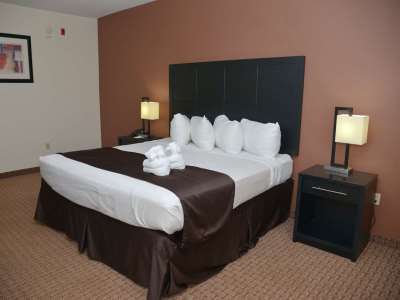 Western 3* Mulberry